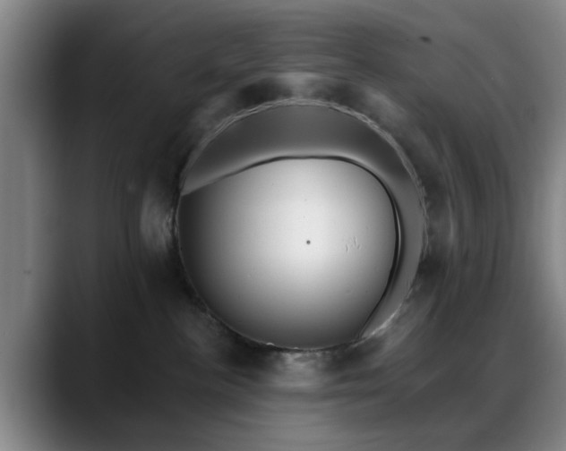 X0000088860188200706151742