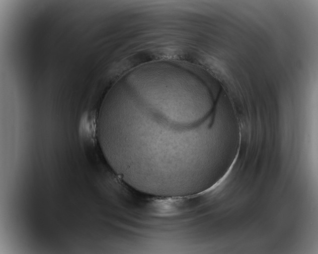 X0000088860190200706151742