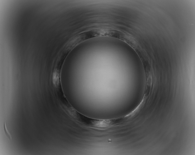 X0000088860191200706151742