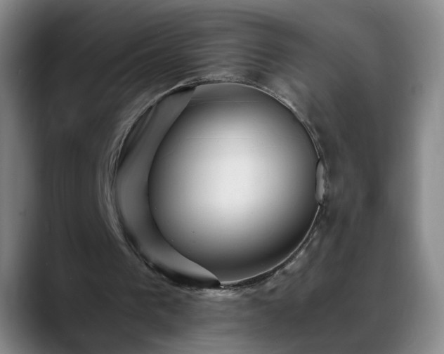 X0000088860193200706151742
