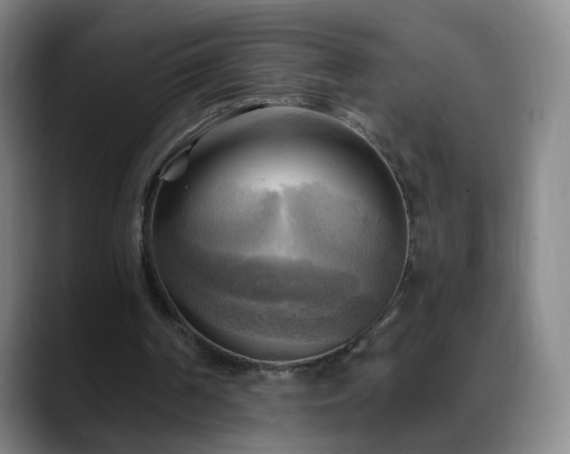 X0000088860194200706151742