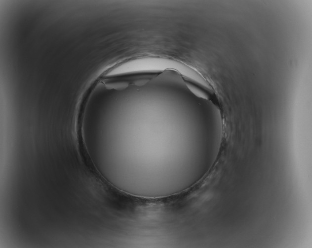 X0000088860196200706151742