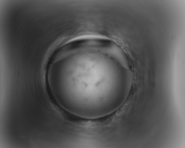 X0000088860197200706151742