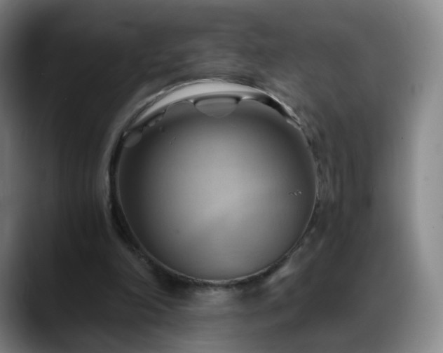 X0000088860198200706151742