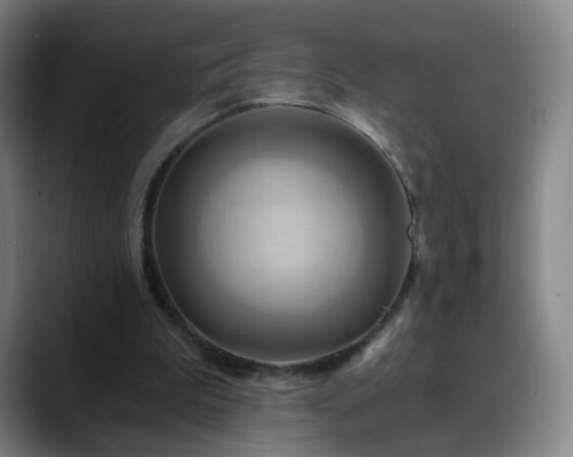 X0000088860199200706151742