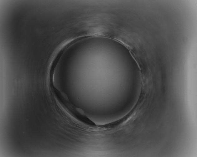 X0000088860200200706151741