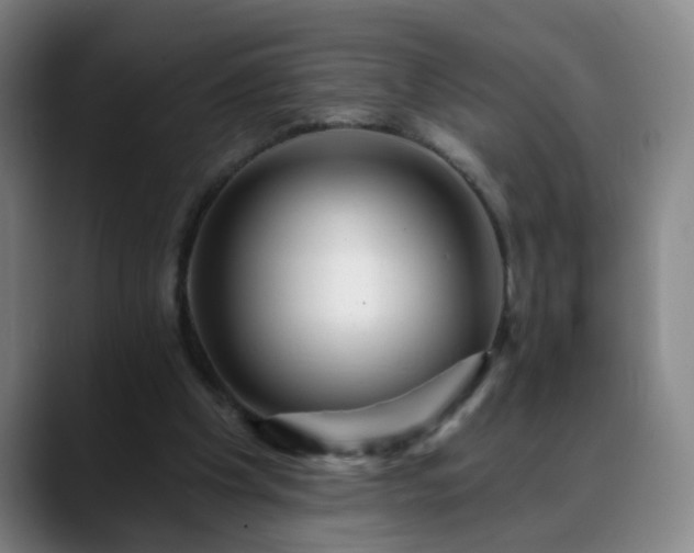 X0000088860201200706151741