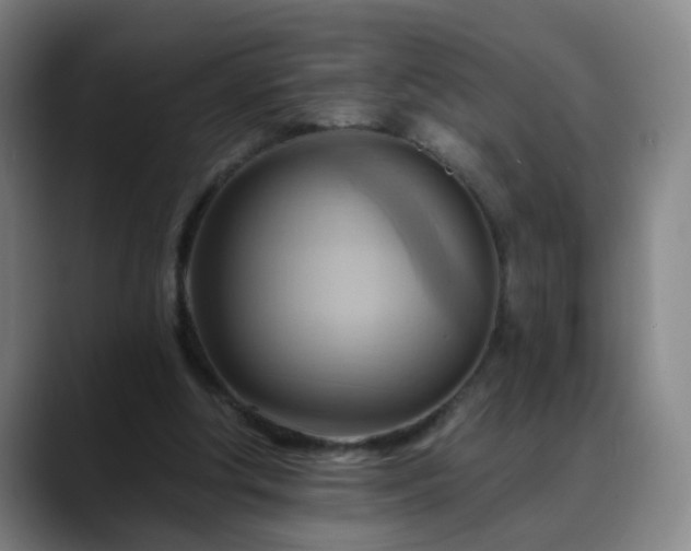 X0000088860202200706151741