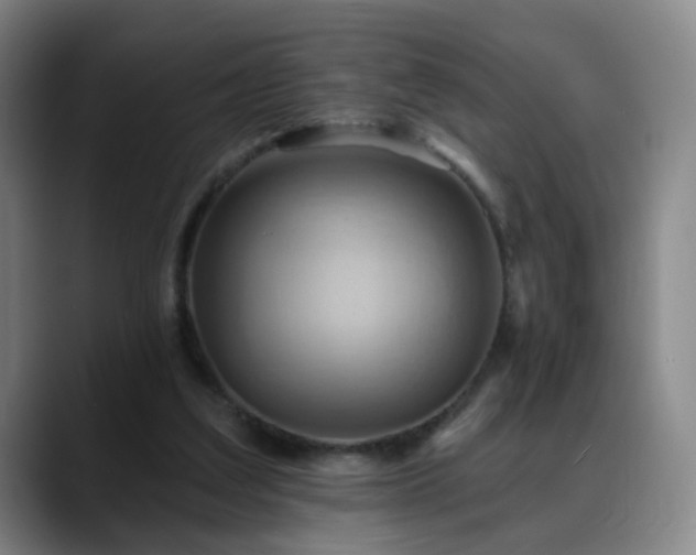 X0000088860203200706151741