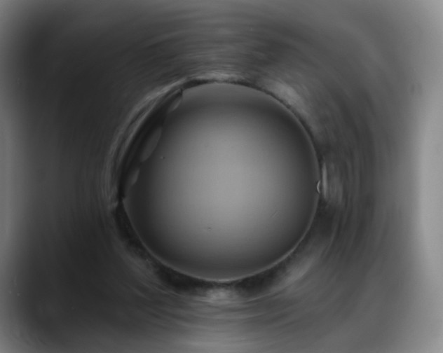 X0000088860204200706151741