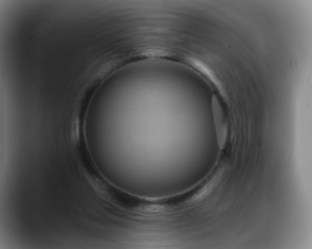 X0000088860205200706151741