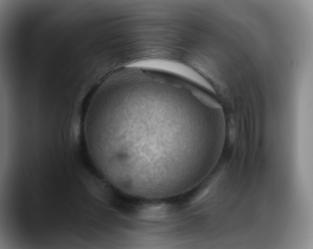 X0000088860206200706151741
