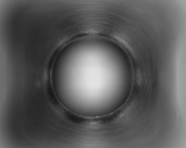 X0000088860208200706151741