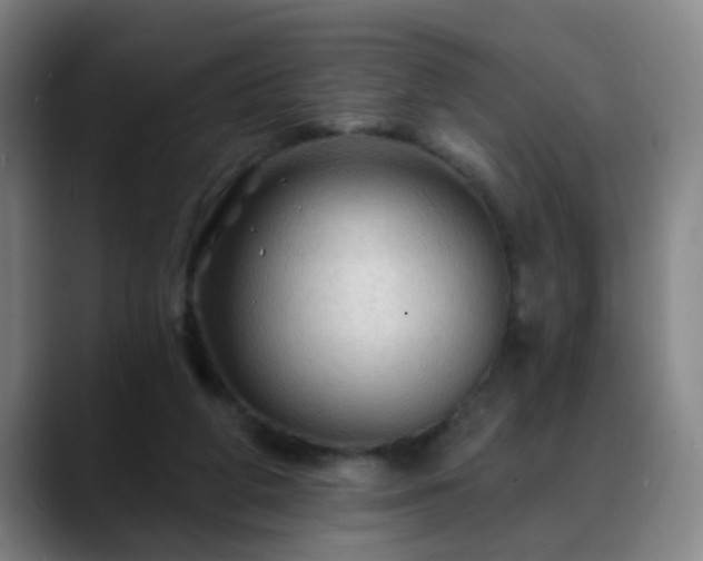 X0000088860210200706151741