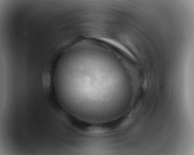 X0000088860211200706151741