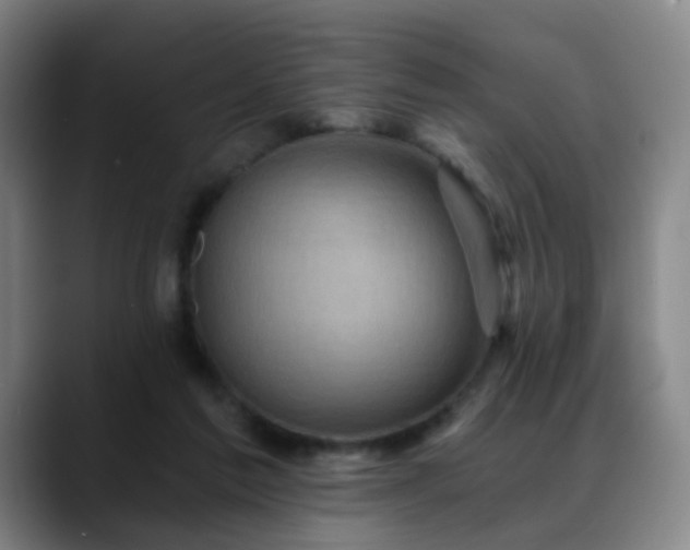 X0000088860213200706151741