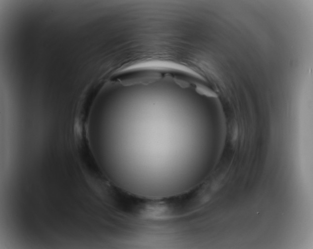 X0000088860214200706151741