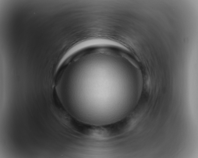 X0000088860215200706151741