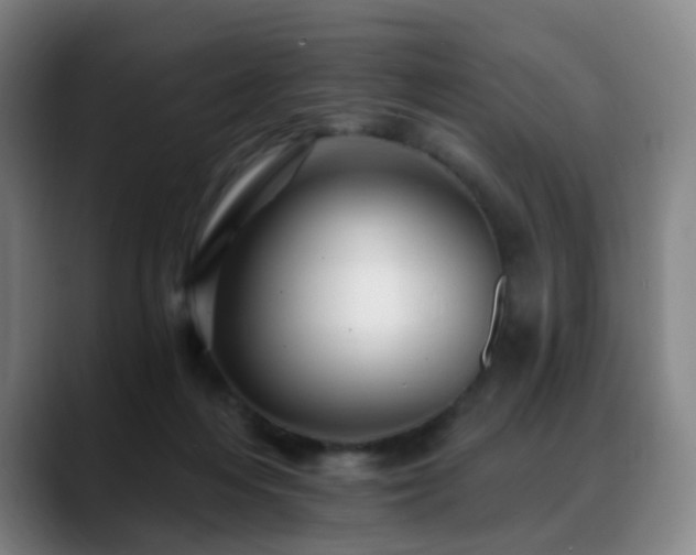 X0000088860216200706151741