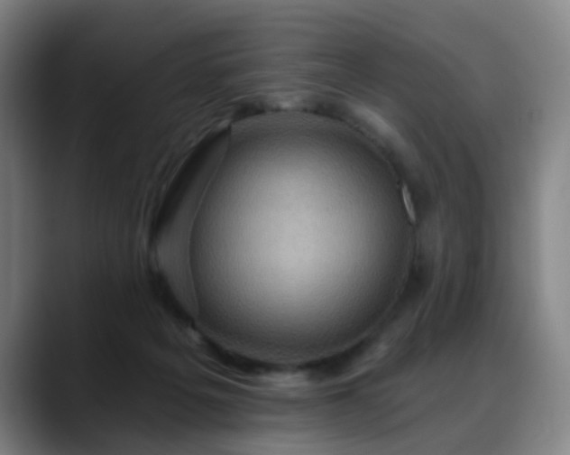 X0000088860217200706151741