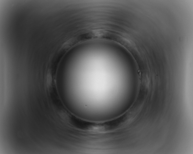 X0000088860220200706151741