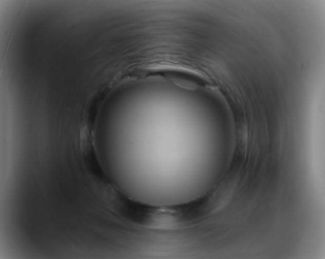 X0000088860222200706151741