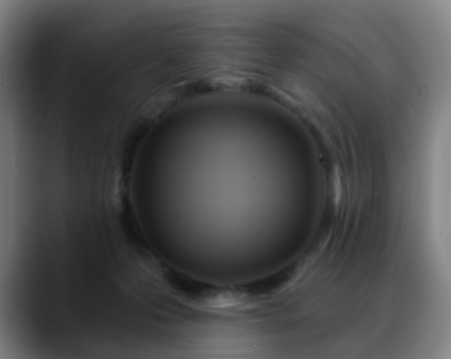 X0000088860223200706151741