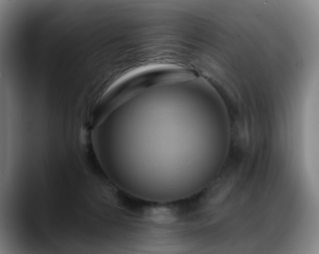 X0000088860224200706151741