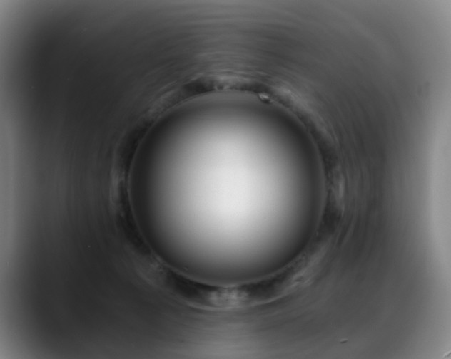 X0000088860225200706151741