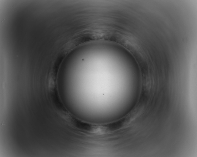 X0000088860226200706151741