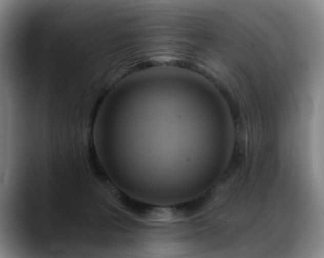 X0000088860227200706151741