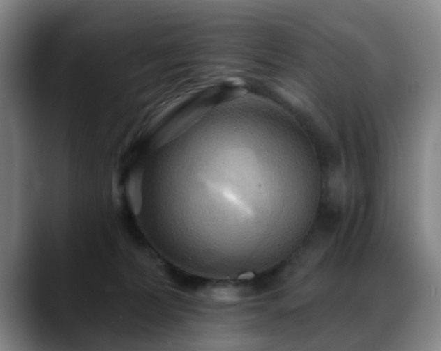 X0000088860228200706151741
