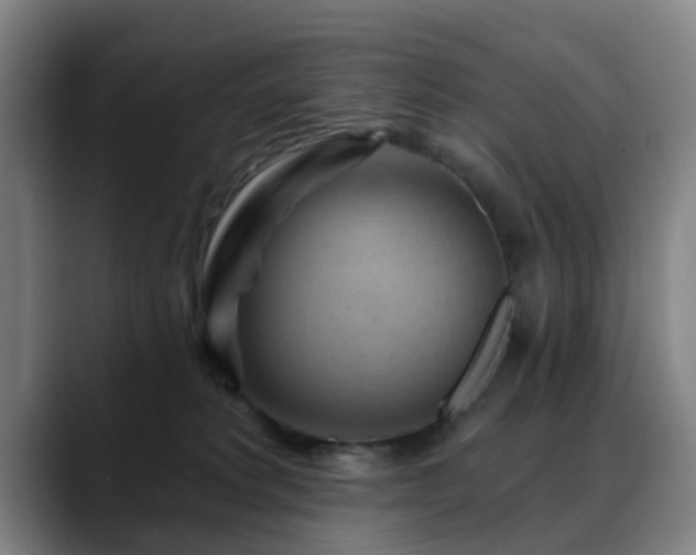 X0000088860229200706151741