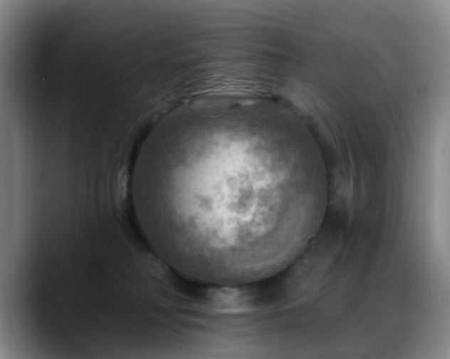 X0000088860230200706151741