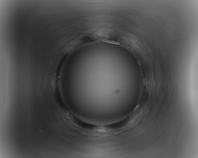 X0000088860231200706151741