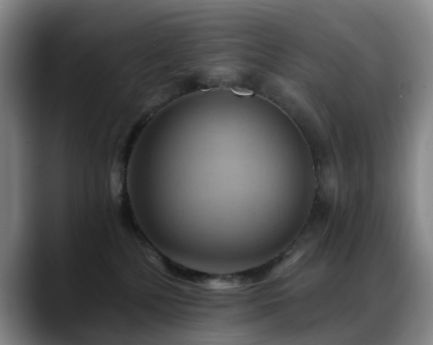 X0000088860232200706151741