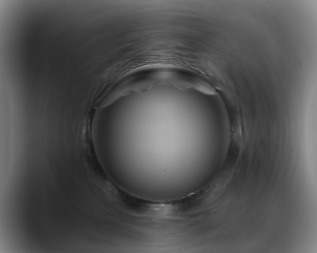 X0000088860233200706151741