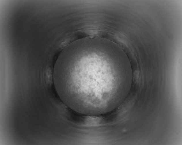 X0000088860234200706151741
