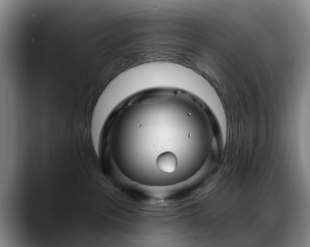 X0000088860237200706151741
