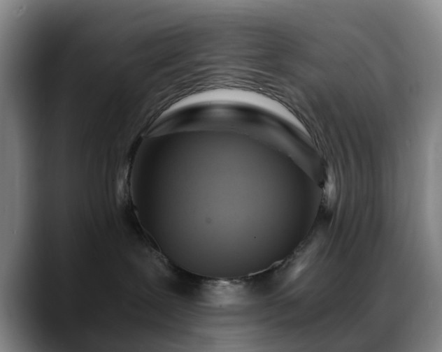 X0000088860239200706151741