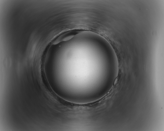 X0000088860242200706151740