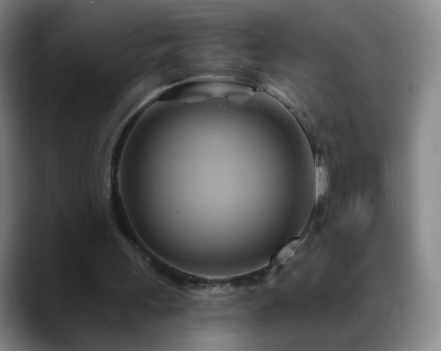 X0000088860243200706151740