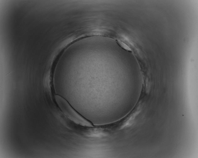 X0000088860244200706151741
