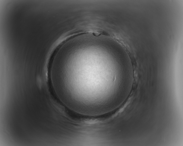 X0000088860246200706151741