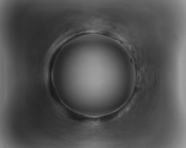 X0000088860247200706151741