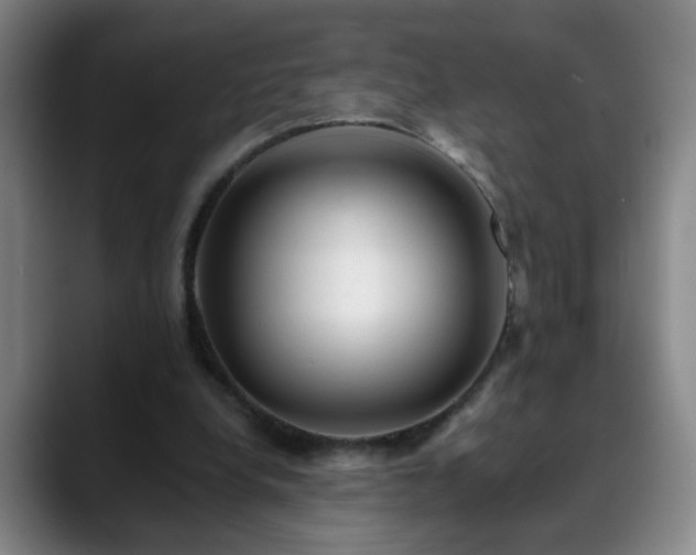 X0000088860248200706151741
