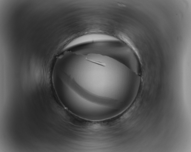 X0000088860249200706151741