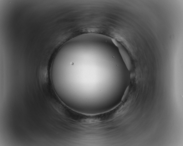 X0000088860251200706151741