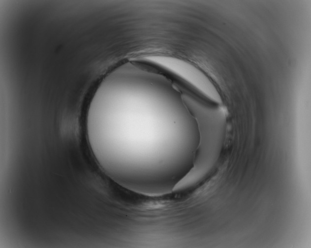 X0000088860252200706151741