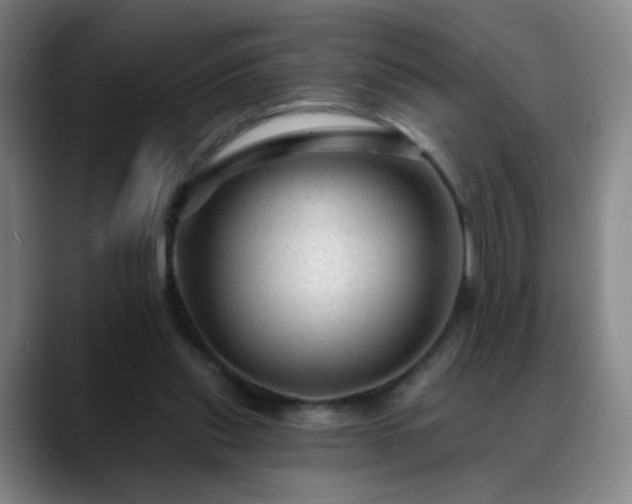 X0000088860253200706151741